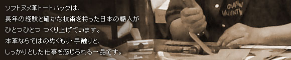���{�̐E�l������\�t�g�k���v�g�[�g�o�b�O