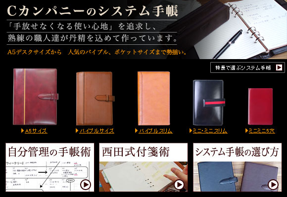 �V�X�e���蒠