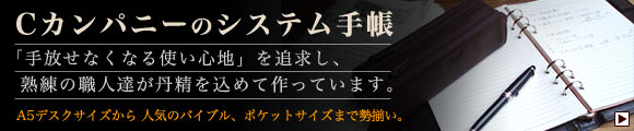 �V�X�e���蒠