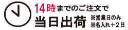 13時までのご注文で当日出荷