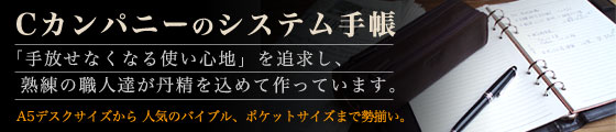 �V�X�e���蒠,�ʔ�